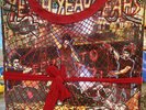 Yeah Yeah Yeahs FEVER TO TELL Limited Edition Vinyl LP Deluxe Box Set Karen O