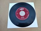The Roxsters So Long - Goodbye Baby 45 1958 Miami Florida Rockabilly ART 175