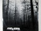 The Cure - A Forest 12
