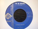 sam moore & tnts im so jealous daren   usa orig  soul 45 northern