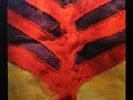 YEAH YEAH YEAHS SHOW YOUR BONES VINYL LP MINT UN-PLAYED CONDITION