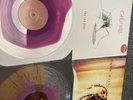 Cane Hill Vinyl 2 LP Lot. Too Far Gone And Smile.  Swirl/Color 180g LP.  Korn