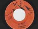 MODERN SOUL bw FUNK - FLUORESCENT SMOGG - ALL I WANT- RARE 1ST LABEL- HEAR \W.G.
