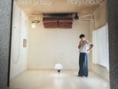 Harry Styles Harry’s House Exclusive Limited Edition Sea glass Green Vinyl LP