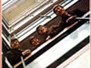 THE BEATLES - RED ALBUM 1962-1966 3C 162-05307/8 2 LP apple emi italiana 1980 IT