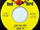 RODDIE JOY 45 Come Back Baby / Love Hit Me With a Wallop RED BIRD Mint- Jr 2594a