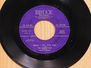 The Harptones doo wop 45 Since I Fell For You bw Oobidee Oobidee oo on Bruce