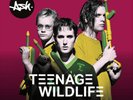 Ash Teenage Wildlife - 25 Years of Ash (Vinyl) 12