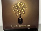 The Fray - How To Save A Life Vinyl - Buttercream Color - RARE - OOP