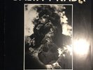 Calva Y Nada • El Peste Perverso Lleva Mi Peluca • LP (ZZO-03) VG/VG
