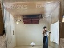 Harry Styles Harrys House Exclusive Limited Sea Glass Green Colored Vinyl LP