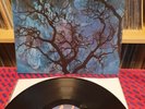 AMON DÜÜL II - Phallus Dei - Psychedelic Prog Rock Vinyl LP album DUUL - NM/EX