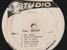 RARE REGGAE DUB LP STUDIO ONE DUB SPECIALIST 