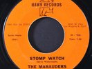 MARAUDERS: stomp watch / sand flea HAWK 7