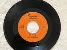 POOR BOYS PRIDE , rock GARAGE PUNK  60'S MICHIGAN