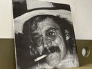 Juarez by Terry Allen, Green Shoes Music, 1975 LP Vinyl Country Record