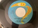 Northern Soul 45/ The Adorables 