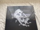 Touche Amore To The Beat Of A Dead Horse 10 year LP BOOK SET LIMITED SEALED