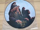 PARADISE LOST: Gothic LP Picture Disc Original Peaceville Records