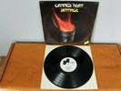 CANNED HEAT LP (Vintage Heat) Janus JLS-3009 (DJ White Label Promo) 1969 Rare US