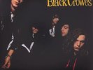 Shake Your Money Maker (2020 Remaster / Vinyl) By The Black Crowes $38.48