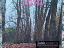 Twink - Think Pink (1970) 50th Anniversary Edition - New/Sealed Vinyl Record LP