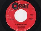 '58 R&B/DooWop WANDERERS A Teenage Quarrel/My Shining Hour ORBIT 9003 M- HEAR