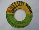 JAH POPS Seventy Two Different Nations - Conquering Lion  Deejay Roots Reggae 7