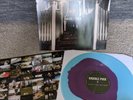 Knuckle Puck WHILE I STAY SECLUDED EP Blue Purple Blob Colored Vinyl LP EX Wax