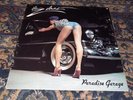 ZEBRAS PARADISE GARAGE ORIGINAL 1978 CANADIAN LP RARE INDIE HOT ROCK RARE