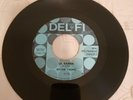 Ritchie Valens ‎– Donna / La Bamba 1958 Del-Fi 4110 45 Vinyl VG+