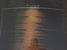 Creedence Clearwater Revival-More Creedence Gold-SEALED-33 1/3 RPM-LP-12