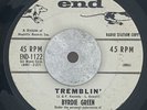 BYRDIE GREEN 45 Tremblin END promo R&B rare