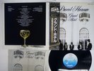 PROCOL HARUM GRAND HOTEL CHRYSALIS WWS-71001 JAPAN OBI VINYL LP