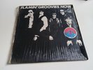 Ancien Disque Vinyle 33t FLAMIN’GROOVIES NOW