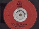 THE BARONS 45 Time and Time Again SRO  MD GARAGE few known copies BFTG