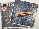 The Stone Roses - What The World Is Waiting For / Fools Gold 1989 12