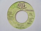 HOPETON LINDO Territory ARTISTE CORNER Murder  Digi Roots Reggae 7