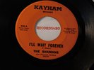 The Shamans 45 Kayham-4 / I'll Wait Forever / Southern California