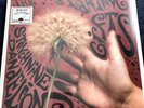 Parting Gifts - Strychnine Dandelion Vinyl LP, Record, New, Sealed, In The Red