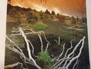 Revenant ‎– 1991 - Prophecies Of A Dying World ‎– Vinyl 1st press