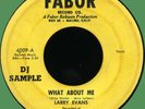 LARRY EVANS (aka James Wayne) What About Me / Junco Returns 45rpm Fabor 1956