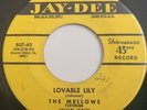 R&B DOO WOP 45 by LILLIAN LEACH & THE MELLOWS HEAR IT