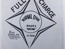 REVOLUTIONARIES Revival Dub Roots Now WELL CHARGE LP silkscreen cover m