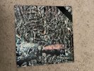 Siouxsie And The Banshees — juju (PVC 8903) 12
