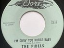 THE FIDELS - I'm Givin You Notice Baby /  NORTHERN SOUL DORE 45