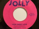 THE SOUL CATS - Your Sweet Love / RARE EARLY REGGAE Jolly 45 SOULFUL