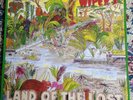 WIPERS - LAND OF THE LOST - RESTLESS RECORDS 1986 - PUNK, INDIE ROCK VINYL LP