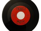 The Team Mates - Come On Baby In My Dreams Twinkle Records Texas 1958 Doo Wop VG