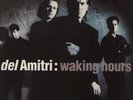 Del Amitri Waking Hours - 2nd UK vinyl LP album record AMA9006